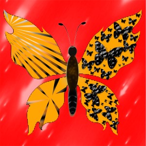 butterflies: 1006
