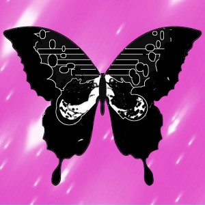 butterflies: 88