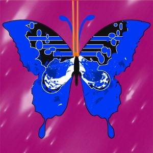 butterflies: 23