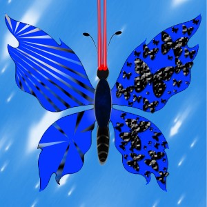 butterflies: 1434