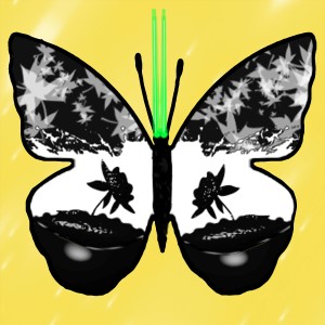 butterflies: 941