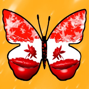 butterflies: 1572