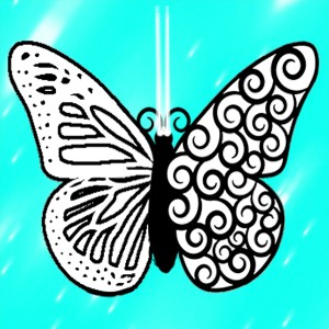 butterflies: 1655