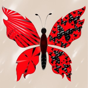 butterflies: 559