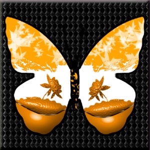 butterflies: 1592