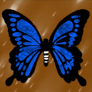 butterflies: 1958