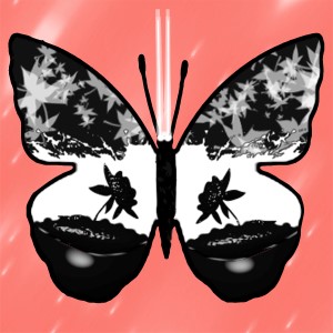 butterflies: 2101
