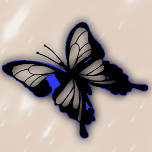 butterflies: 7
