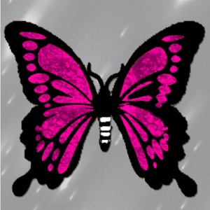 butterflies: 620