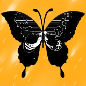 butterflies: 1355