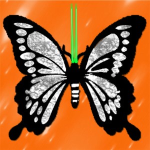 butterflies: 1714