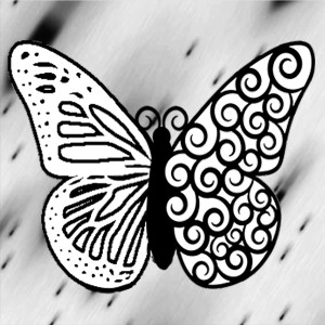 butterflies: 1296