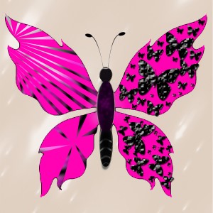 butterflies: 129