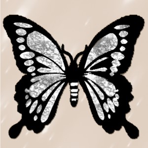 butterflies: 1718