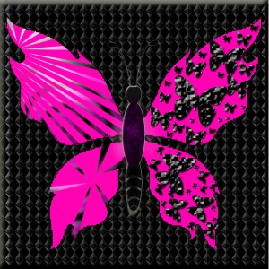 butterflies: 344