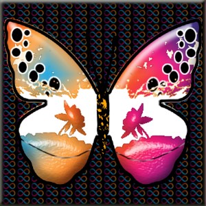 butterflies: 1115