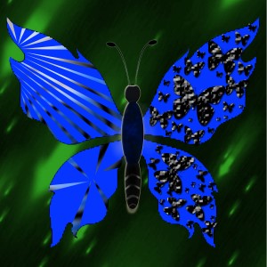 butterflies: 1596