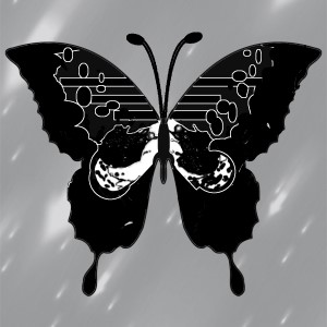 butterflies: 1111