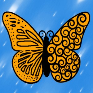 butterflies: 11