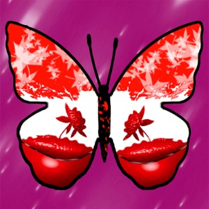 butterflies: 413