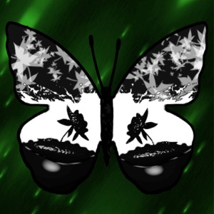 butterflies: 1962