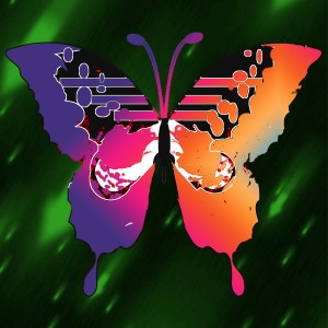 butterflies: 677