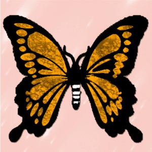 butterflies: 1789