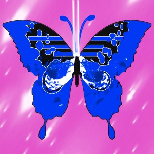 butterflies: 884