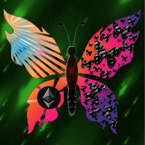 butterflies: 348