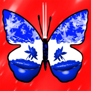 butterflies: 1722