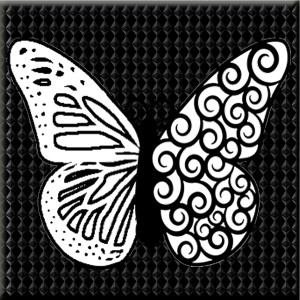 butterflies: 703