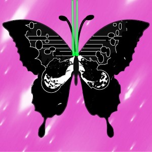 butterflies: 809