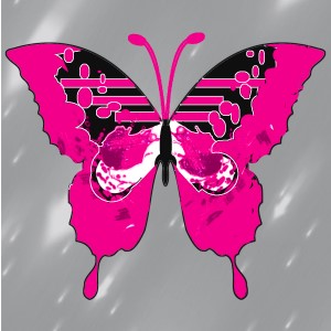 butterflies: 147