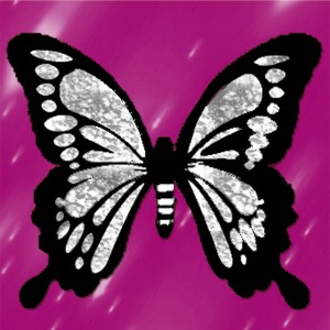 butterflies: 699