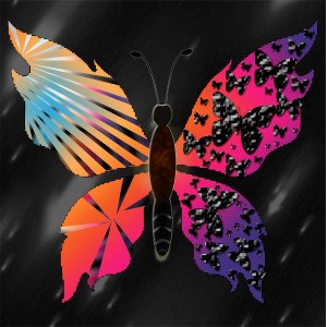 butterflies: 1231