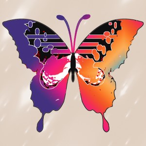 butterflies: 764