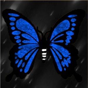 butterflies: 634