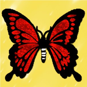 butterflies: 1008