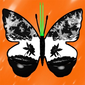 butterflies: 452