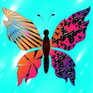 butterflies: 1038