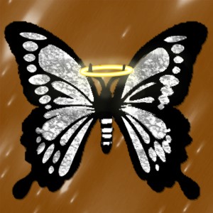 butterflies: 1976