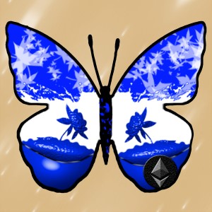 butterflies: 1570