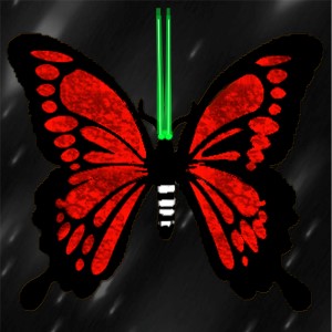 butterflies: 17