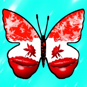 butterflies: 1004