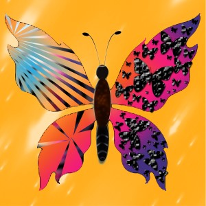 butterflies: 638