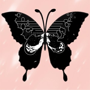 butterflies: 212