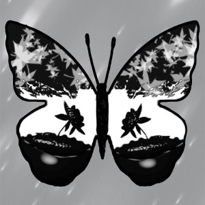 butterflies: 1373