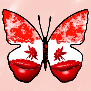 butterflies: 326