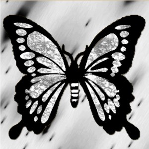 butterflies: 1854