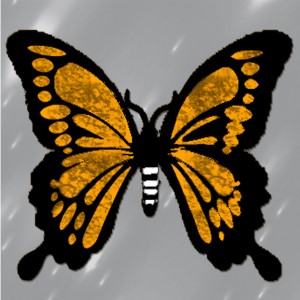 butterflies: 224